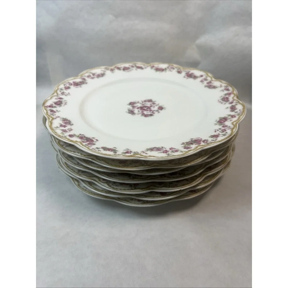 Haviland & Co Limoges Schleiger 270 Dinner Plates. 9.75